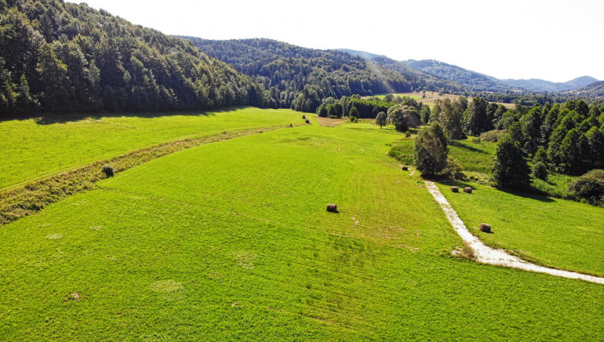 Działka Sprzedaż Nowy Waliszów