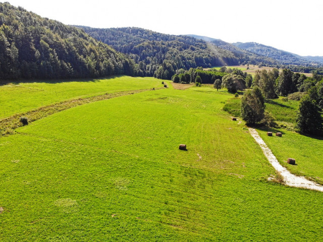 Działka Sprzedaż Nowy Waliszów