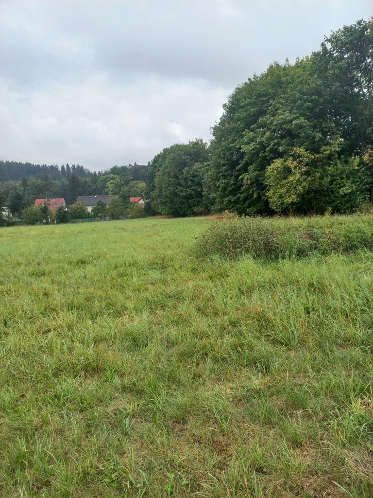 Działka Sprzedaż Jugów Młynarska