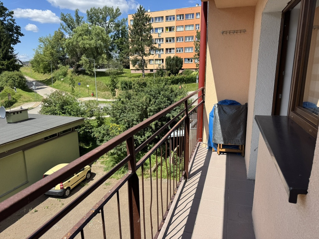 Mieszkanie Wynajem Kudowa-Zdrój Pogodna