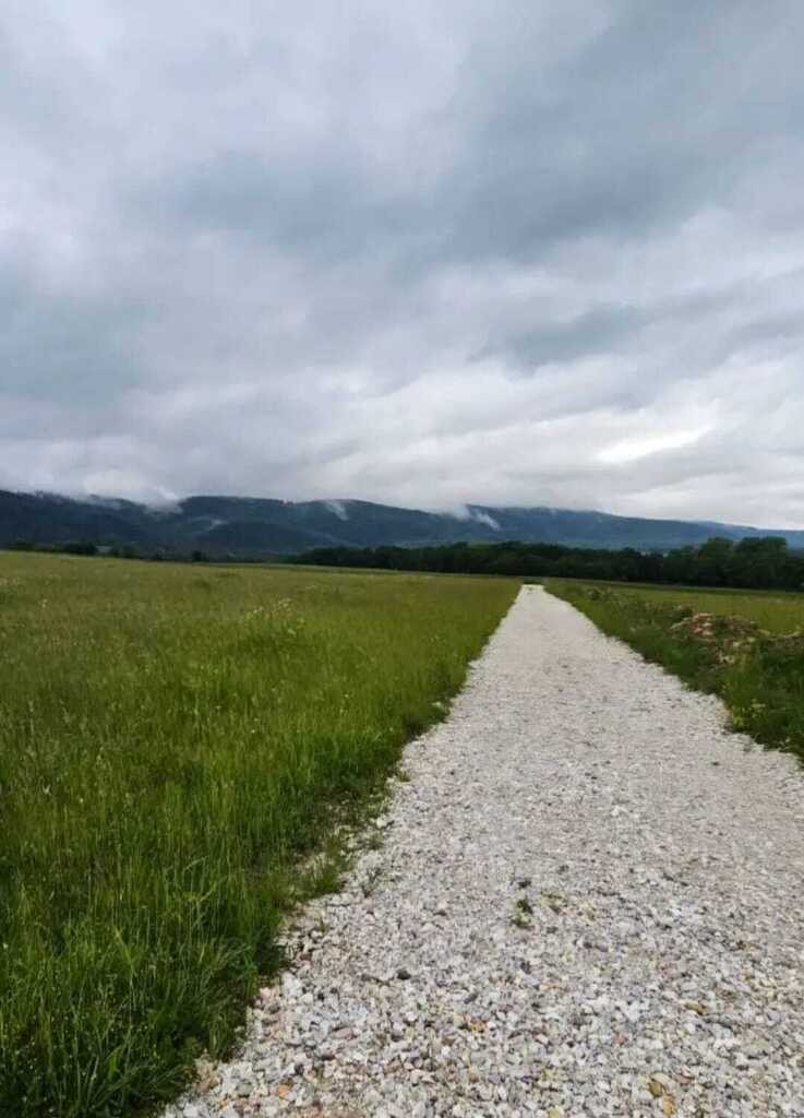 Działka Sprzedaż Stara Łomnica