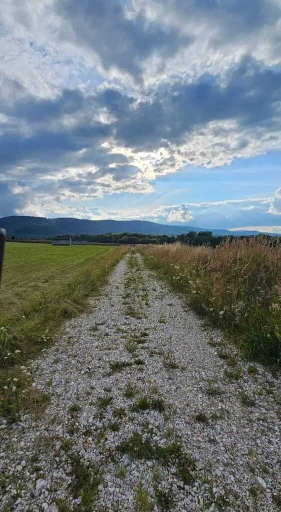 Działka Sprzedaż Stara Łomnica