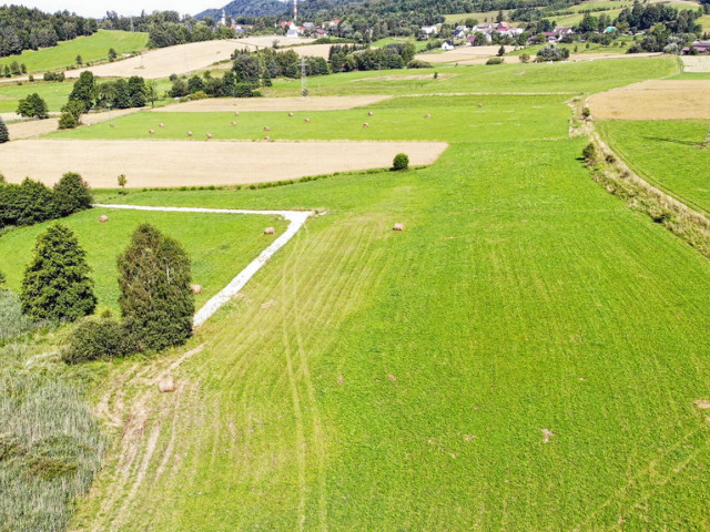 Działka Sprzedaż Nowy Waliszów