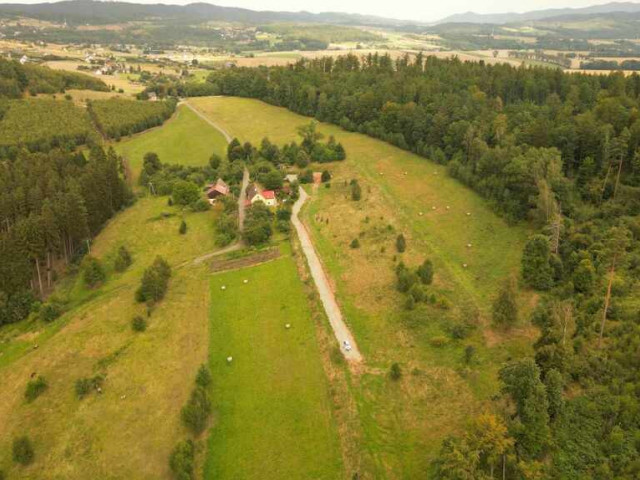 Działka Sprzedaż Nowa Ruda Zagórze