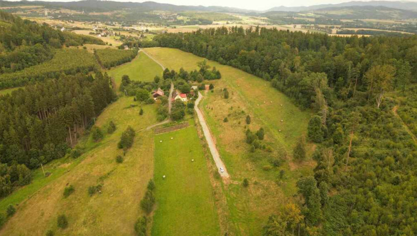 Działka Sprzedaż Nowa Ruda Zagórze