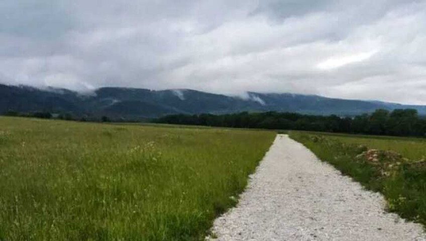 Działka Sprzedaż Stara Łomnica