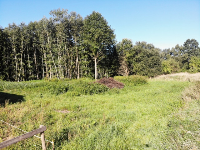 Działka Sprzedaż Tłumaczów
